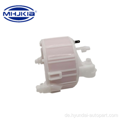 Motorkraftstoffpumpenfilter 31112-1r100 für Hyundai Kia